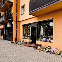 Gala. Kwiaciarnia Dębica (Dębica )