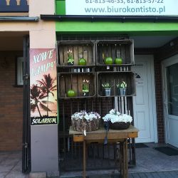 Galeria Florystyczna Monika Malicka (Stęszew en Merlo San Luis)