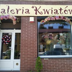 Galeria Kwiatów (Końskie en Merlo San Luis)
