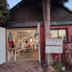 Galeria Przy Pętli (Wołowice )