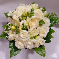Gardenia. Kwiaciarnia. Brożek M. (Skawina )
