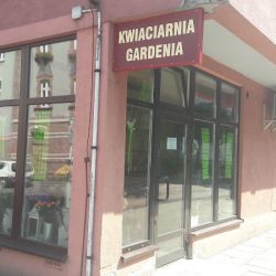 Gardenia. Kwiaciarnia. Durek M. (Rybnik )