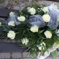 Gardenia. Kwiaciarnia. Jarmulewska H. (Jastarnia )