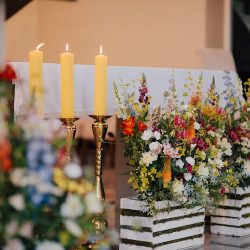 Gardenia. Kwiaciarnia. Kopeć E. (Jawor )