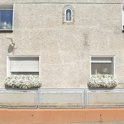 Gardenia Małgorzata Długosz (Zakrzów en Merlo San Luis)