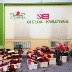 Giełda Kwiatowa (Tarnów )