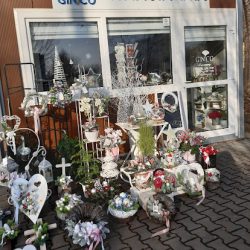 Ginco (Kraków )