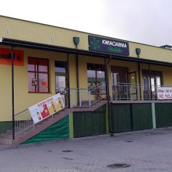 Gladiola - Kwiaciarnia Suwałki (Suwałki )