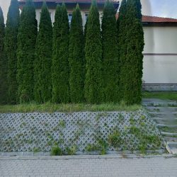Gminna Biblioteka Publiczna W Jaworniku Polskim (Jawornik Polski )
