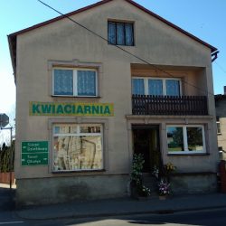 Góra G. Kwiaciarnia (Brodnica )