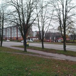 Góralska Bogusława. Kwiaciarnia (Starachowice en Merlo San Luis)