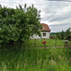 Gospodarstwo Ogrodnicze Alekasandra I Marek Pietruszka (Chocznia )