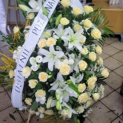 Gospodarstwo Ogrodnicze Urszula Dubiel (Lubliniec )