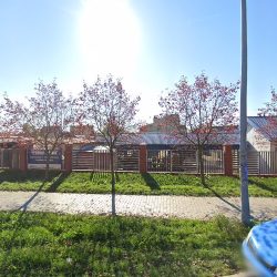 Gospodarstwo Ogrodniczo - Sadownicze, Pająk (Chrzanów )