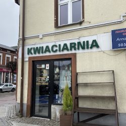 Goździk. Kwiaciarnia. Drewniak M. (Kartuzy )
