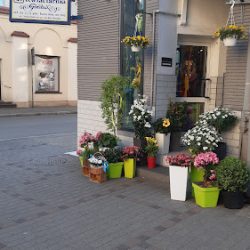 Goździk. Kwiaciarnia (Kalisz en Merlo San Luis)