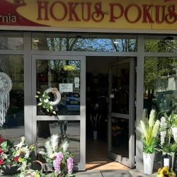 Hokus Pokus (Konin )