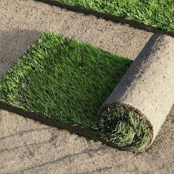 Holy Grass Matejka (Reńska Wieś en Merlo San Luis)