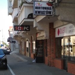 Hurtownia Kwiatów Duet (Białystok )