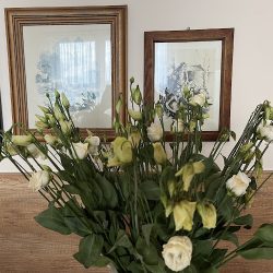 Hurtownia Kwiatów I Art. Dekoracyjnych Irek (Częstochowa )