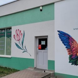 Hurtownia Kwiatów I Art. Florystycznych Tim S.c. (Gorzów Wielkopolski )