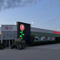 Hurtownia Kwiatów Róża Sp. Z O.o. (Bielsko-Biała )
