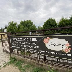 Hurtownia Kwiatów Śmigielscy Legnica (Legnica )