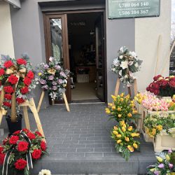 Hurtownia Kwiatów Sztucznych - Niezapominajka (Gniezno )