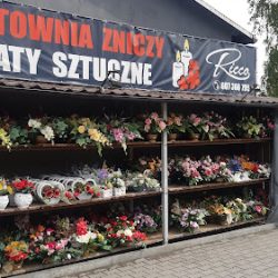 Hurtownia Zniczy I Kwiatów Sztucznych (Jastrzębie-Zdrój )