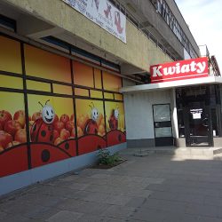Idzik Alina. Kwiaciarnia (Wrocław )