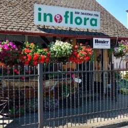 Inoflora Poczta Kwiatowa Inowrocław (Inowrocław )
