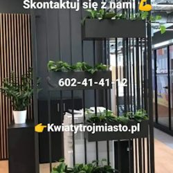 Internetowa Kwiaciarnia Kwiaty Trójmiasto Gdańsk, Gdynia, Sopot I Okolice. (Pruszcz Gdański )