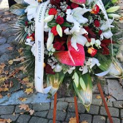 Irys. Kwiaciarnia (Olecko )