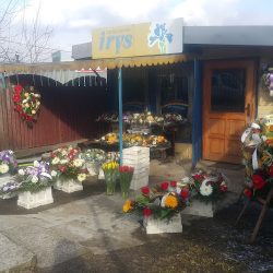 Irys. Kwiaciarnia. Czart I. (Bełchatów )