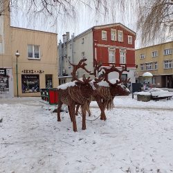 „irys”. Kwiaciarnia Rolniczej Spółdzielni Produkcyjnej Lepszy Byt Pawonków (Lubliniec )