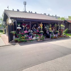 Ismena. Kwiaciarnia (Zabrze )