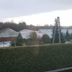 Jaremkowie Z.p. Gospodarstwo Ogrodnicze (Kozubszczyzna en Merlo San Luis)