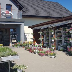 Jochymek Galeria Kwiatów Storczyk (Jerzmanowice )