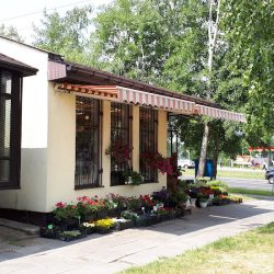 Jubilatka. Kwiaciarnia (Kraków )