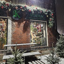 K-flora Kwiaciarnia Bytom | Pracownia Florystyczna - K-flora (Bytom )