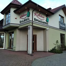 Kaktus. Kwiaciarnia. Szabłowska A. (Ostrołęka )