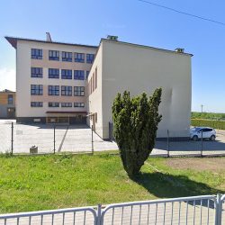 Kaktus. Kwiaciarnia. Wróbel S. (- )