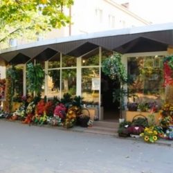 Kaktusik. Kwiaciarnia (Tarnobrzeg )