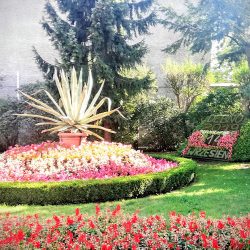 Kalendarz Z Kwiatów W Dębnie (Dębno )