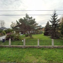 Kalla. Kwiaciarnia. Bednarska E. (Rzgów )