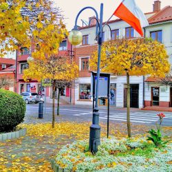 Kalla. Ryndak G. (Tuchów )