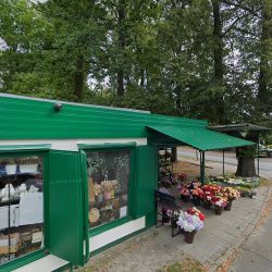 Kam-gal Kwiaciarnia (Sulechów )