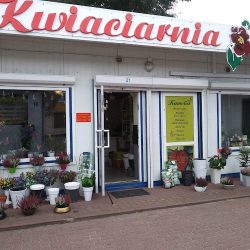 Kamelia. Kwiaciarnia. Szczepaniak S. (Radom )