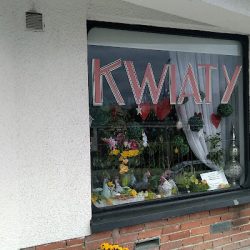 Kamelia. Kwiaciarnia (Toruń )