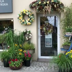 Kamiflora | Kwiaciarnia Poznań (Poznań )